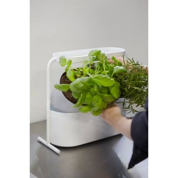 UMBRA GIARDINO Саксия за билки и подправки