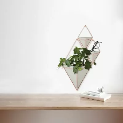 UMBRA TRIGG WALL DISPLAY LG CONC/CPR