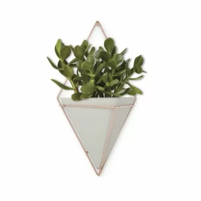 UMBRA TRIGG WALL DISPLAY LG CONC/CPR