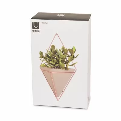 UMBRA TRIGG WALL DISPLAY LG CONC/CPR