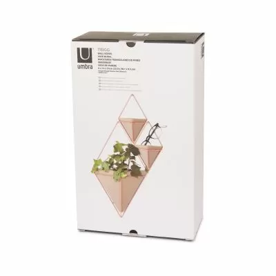 UMBRA TRIGG WALL DISPLAY LG CONC/CPR