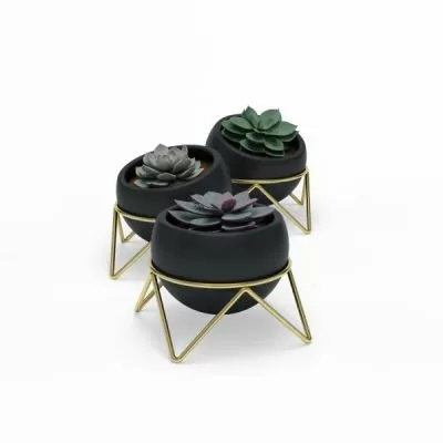 UMBRA POTSY 3 PACK PLANTER BLK/BRS