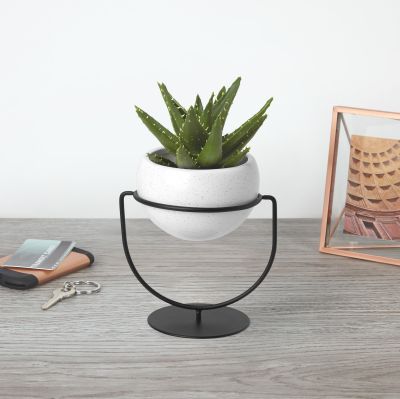 UMBRA NESTA PLANTER WHT SPEC