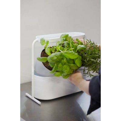 UMBRA GIARDINO Саксия за билки и подправки