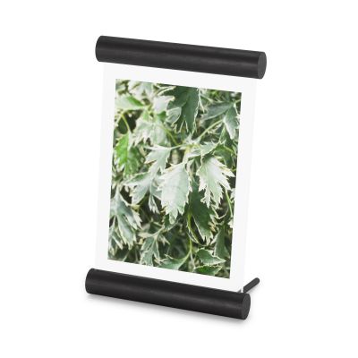 Umbra SCROLL PD 5X7 BLACK