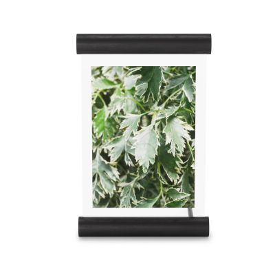 Umbra SCROLL PD 5X7 BLACK