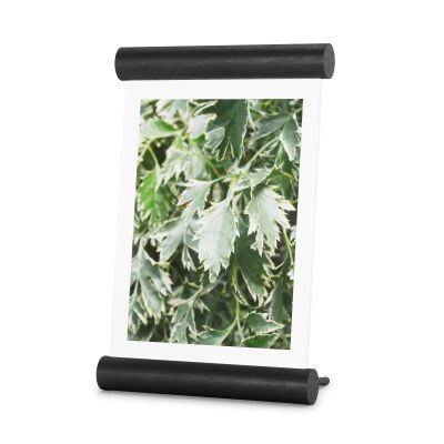Umbra SCROLL PD 5X7 BLACK