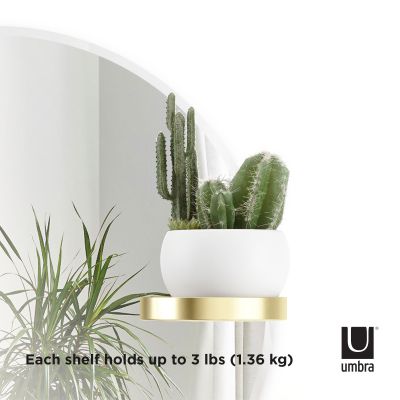 UMBRA PERCH MIRROR 24 IN BRASS